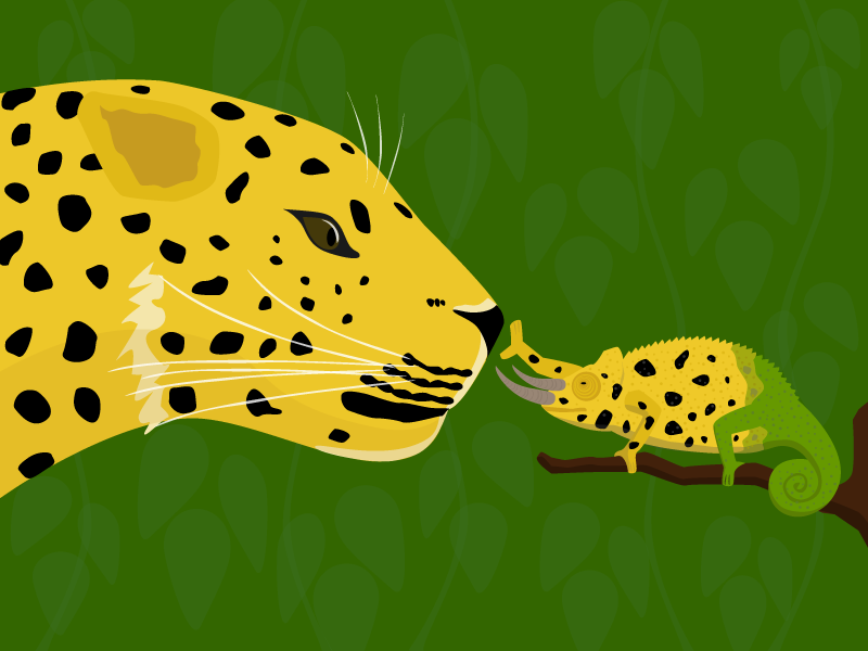 leopard and chameleon